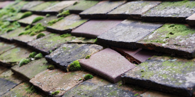 Butterton roof repair costs